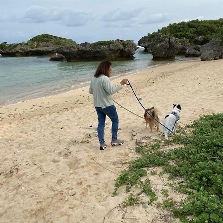 Ken'S Beachfront Cafe & Lodge, Bl2, Oceanfront And Free Canoe Rental Onna Buitenkant foto